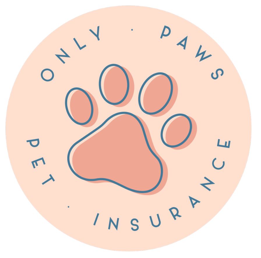 Only Paws